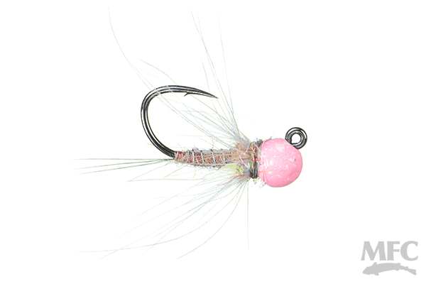 ボクシング insectnoise1979 01-4935-w.png?v=3967259712